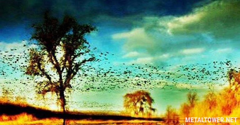 Comentarios Keegan Ostrowski – The Ilusen’s Fallacy