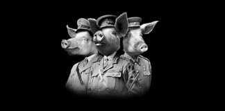 WAR PIGS