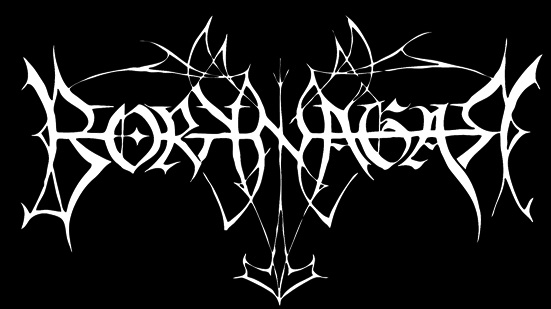 BORKNAGAR