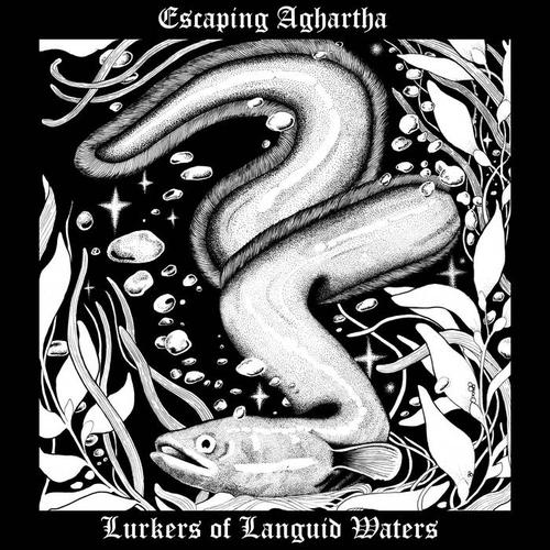 Lurkers of Languid Waters – ESCAPING AGHARTHA
