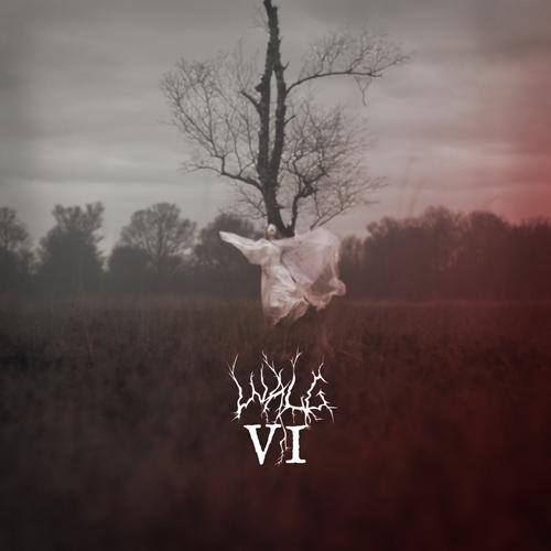 VI – WALG