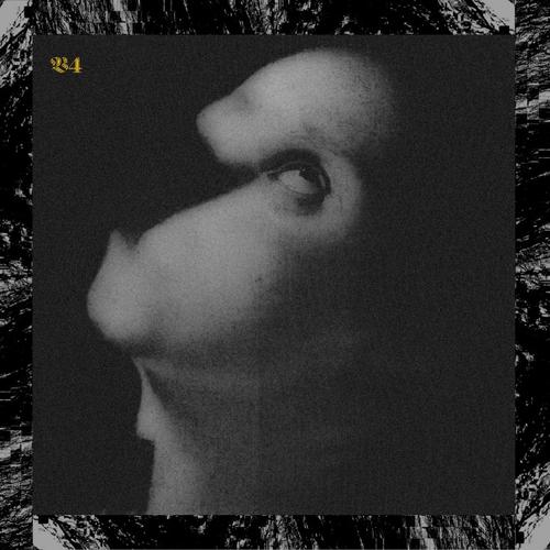4: ⁠Assets For Psychedelic Warfare – VISCERA///